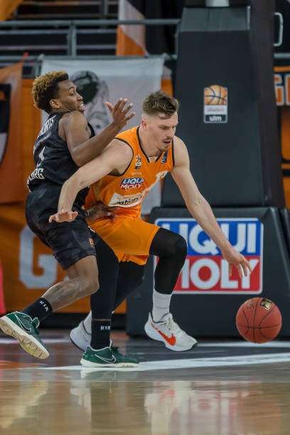 伴们带来了 伴们带来了