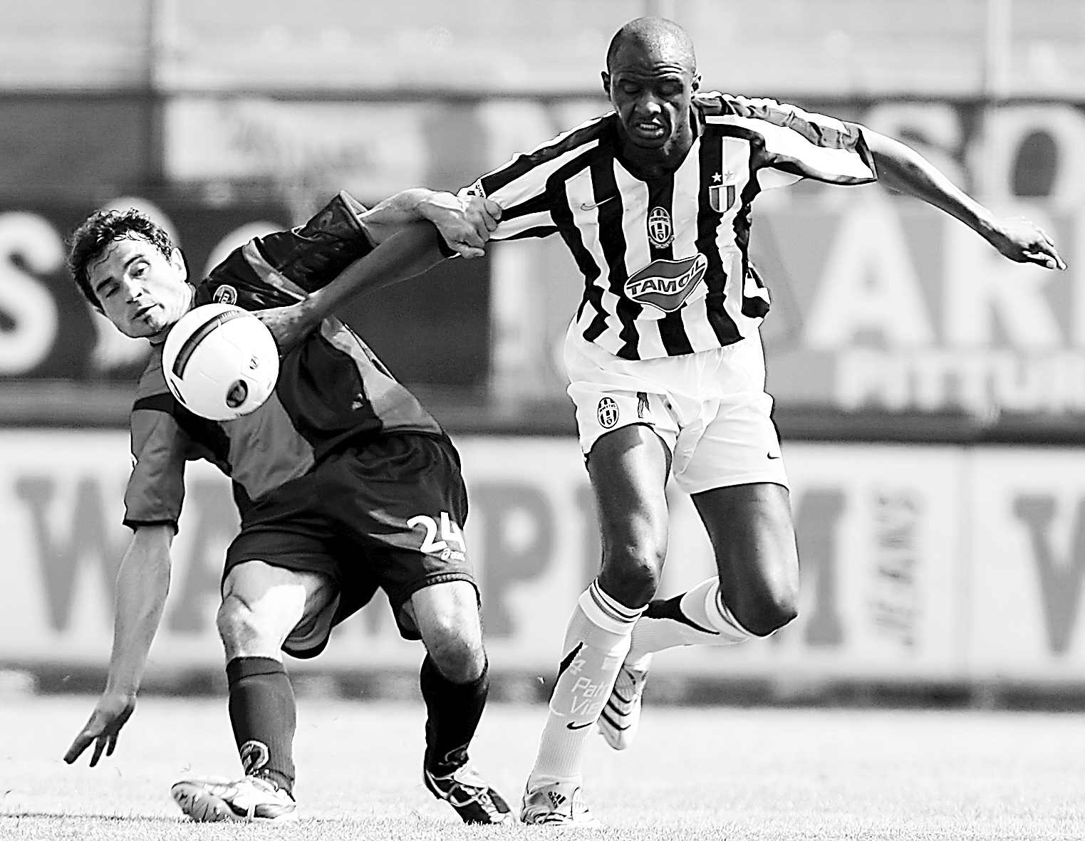 小儿子布莱 小儿子布莱