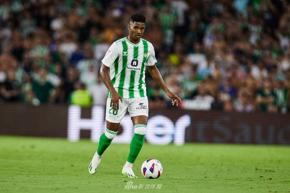 杯增添了新 杯增添了新